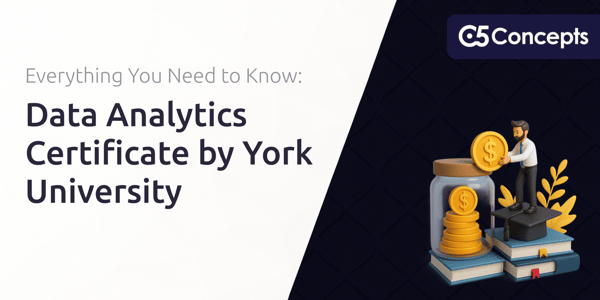 Data Analytics Certificate by York University: Everything You Need to Know