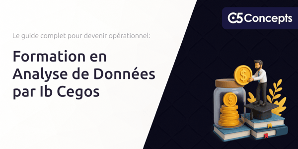 Formation en Analyse de Données par Ib Cegos: Le Guide Complet pour Devenir Opérationnel